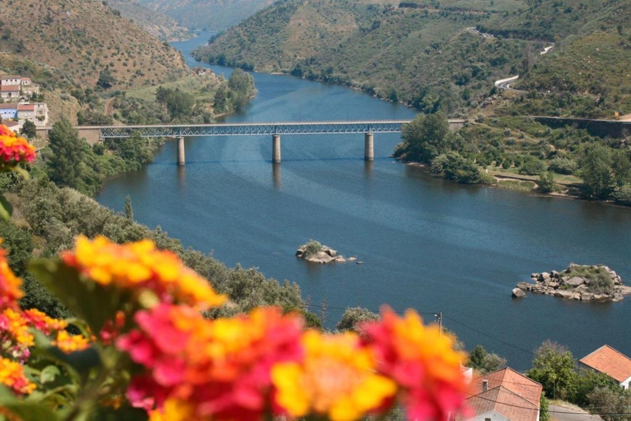 Quinta Do Belo-Ver Turismo De Habitacao Belver  Ngoại thất bức ảnh